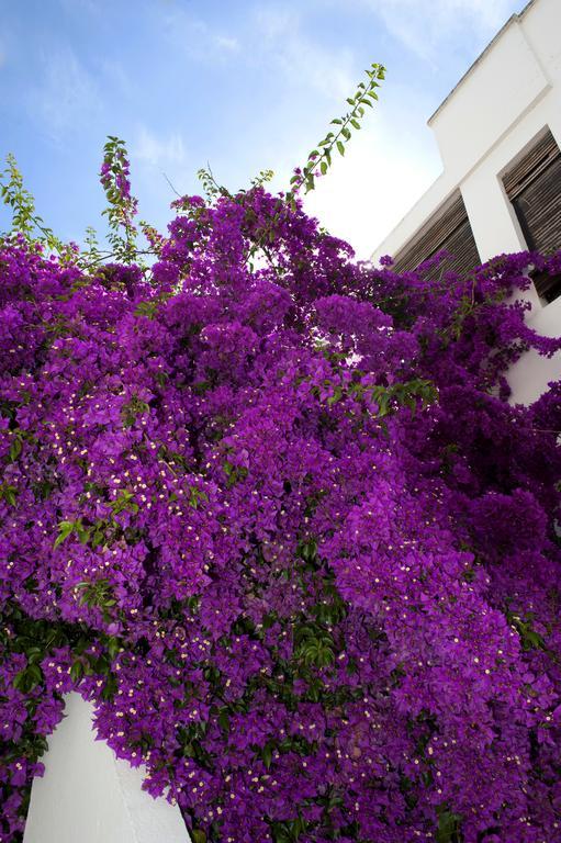 Haspeyma Otel Bodrum Esterno foto